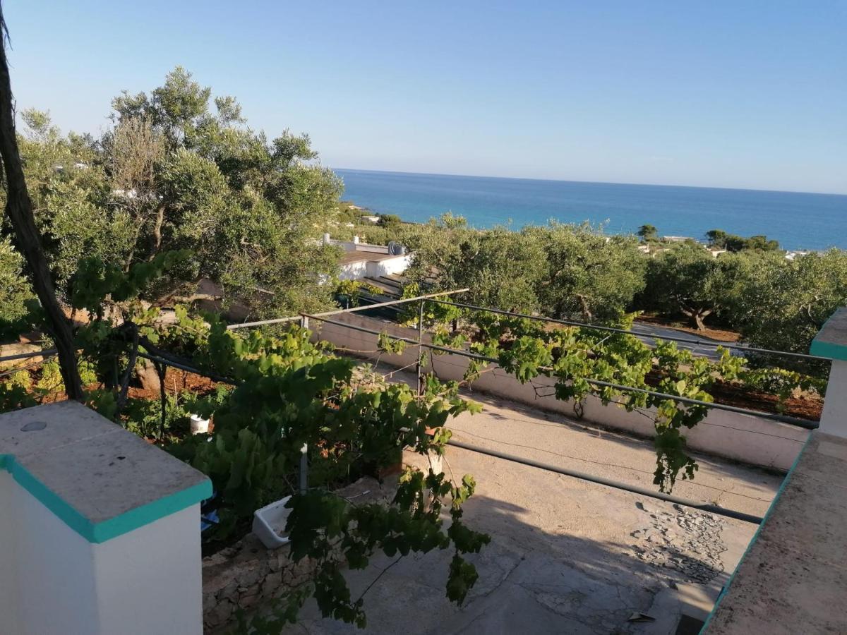 Appartement La Mennula Garden à Salignano  Extérieur photo